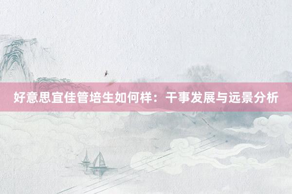好意思宜佳管培生如何样：干事发展与远景分析
